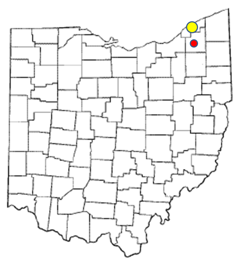 mapisodecis